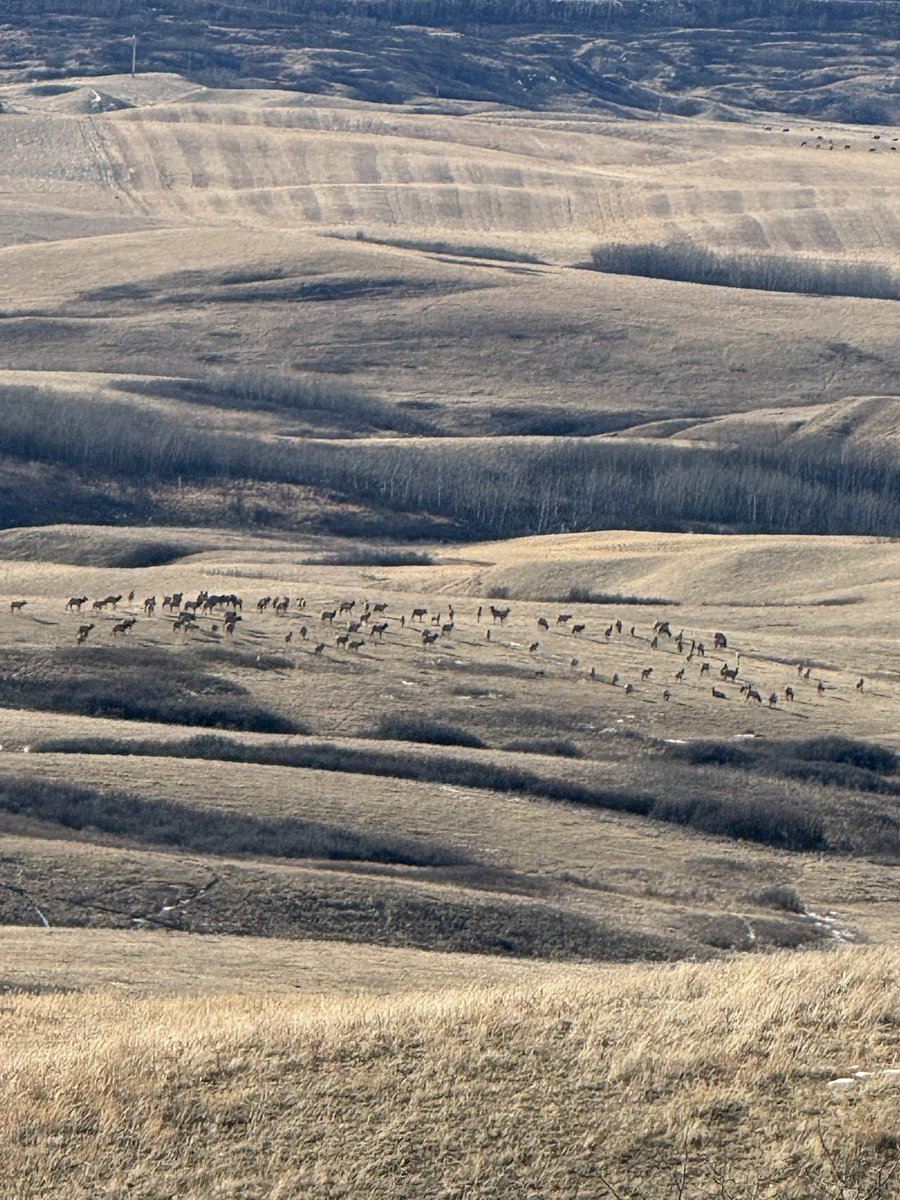 Cade Treacy tweet media