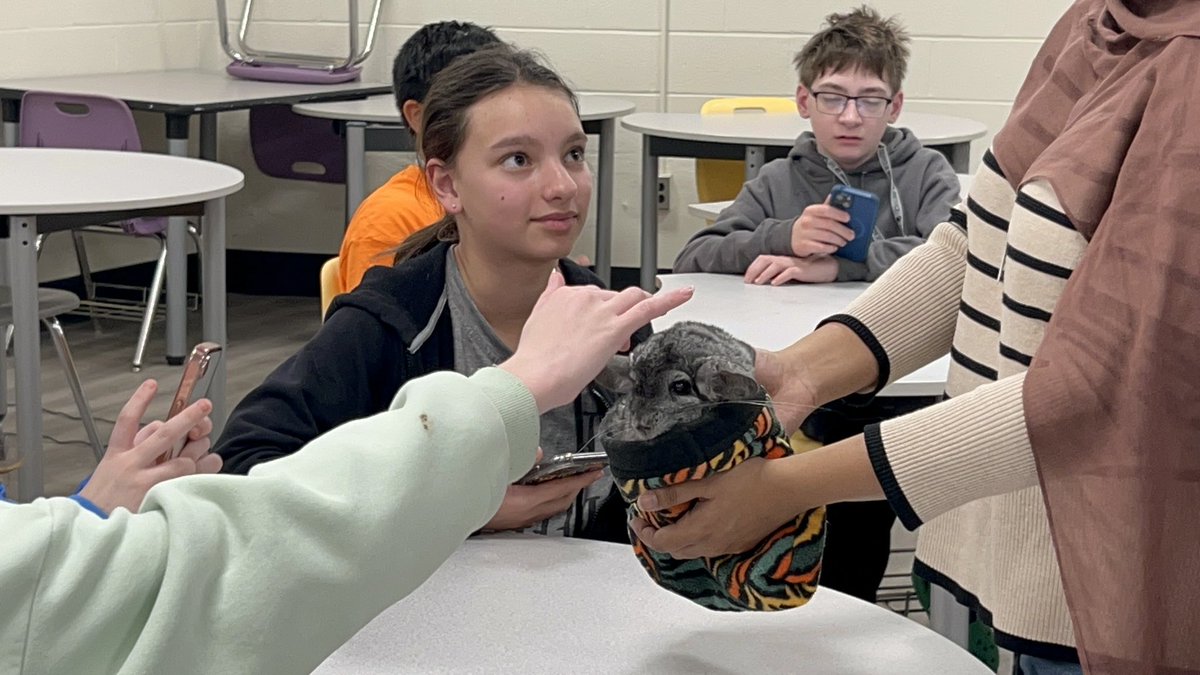 Mrs. Marzillier tweet media