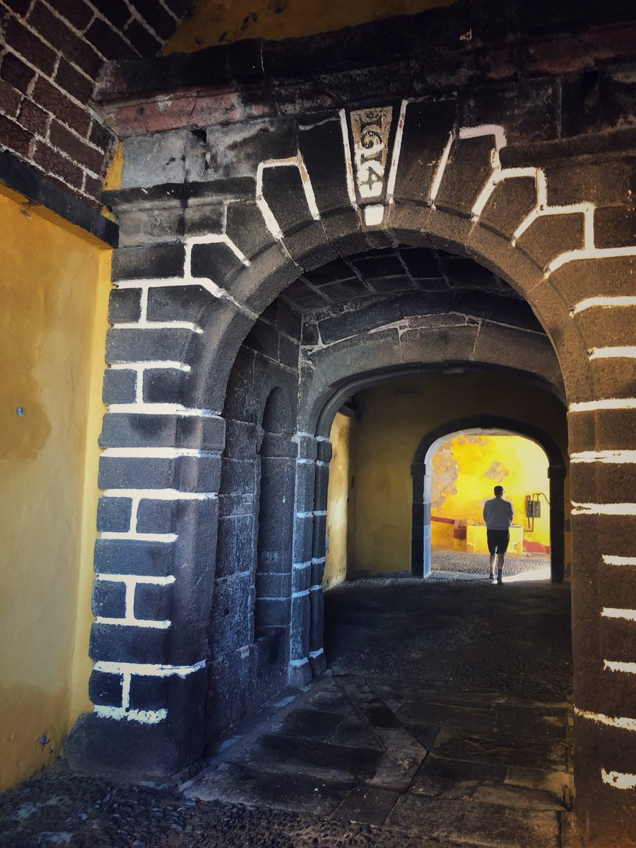 Dena Alford tweet media