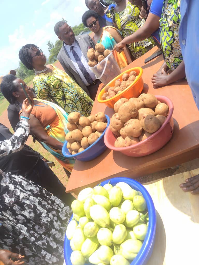 Rutunga Sector tweet media