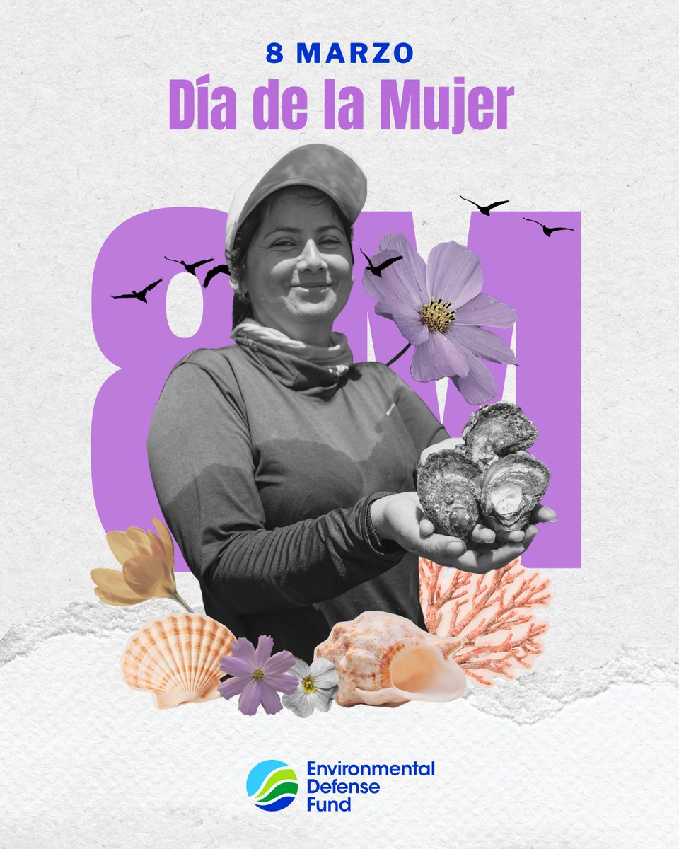 EDF en Español tweet media