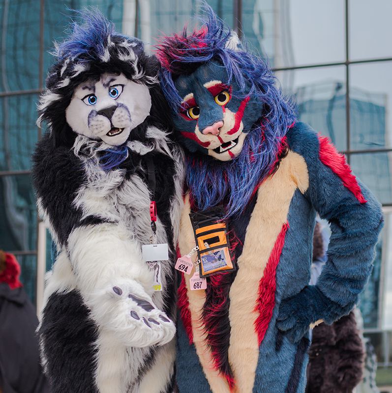 Wonderdawg Dingo tweet media