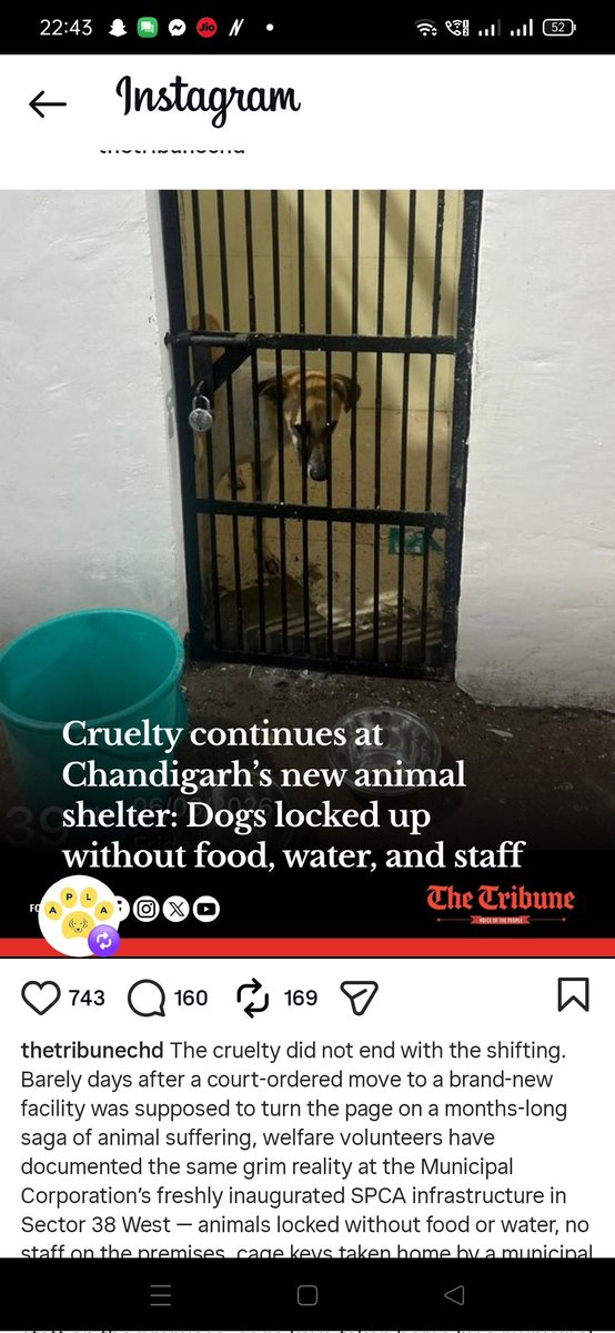 Animal cruelty happening in sector 38 west chandigarh - animal locked in room without food , water .please take action  <a href="/LalanSingh_1/">Rajiv Ranjan (Lalan) Singh</a> <a href="/Bsankshay/">Sankshay Babber</a> <a href="/BhagwantMann/">Bhagwant Mann</a> <a href="/HMOIndia/">गृहमंत्री कार्यालय, HMO India</a> <a href="/narendramodi/">Narendra Modi</a> <a href="/DgpChdPolice/">DGP Chandigarh Police</a> @
<a href="/SwatiJaiHind/">Swati Maliwal</a> <a href="/pfaindia/">People For Animals India</a> <a href="/PetaIndia/">PETA India</a> <a href="/RahulGandhi/">Rahul Gandhi</a> <a href="/TheJohnAbraham/">John Abraham</a> <a href="/ayushmannk/">Ayushmann Khurrana</a>