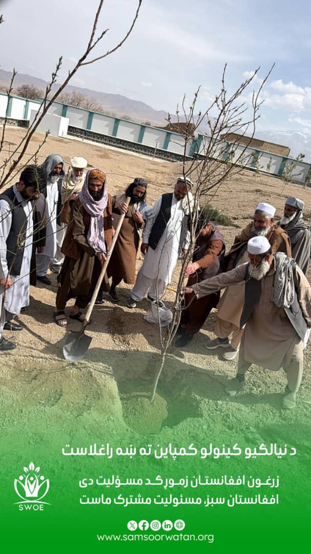 Samsoor Watan سمسور وطن 🇦🇫 🌏 tweet media