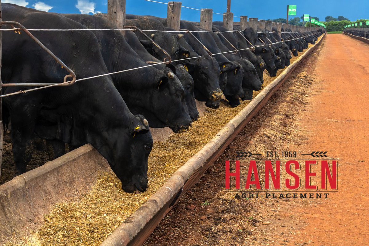HansenAgriPLCMT's tweet photo. Feedyard Maintenance Manager (EH10961)
$75,000+/-
Kansas
#AgJobs #FeedyardMaintenance #FeedlotMaintenance
https://t.co/RiQtdw1h7q https://t.co/YsLo26FXEk