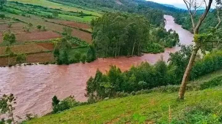 dualisetal's tweet photo. @fit_ermined Tuanzie maandamano hapa ocha if the drainage is an issue😇 https://t.co/1BkLVbjqOL