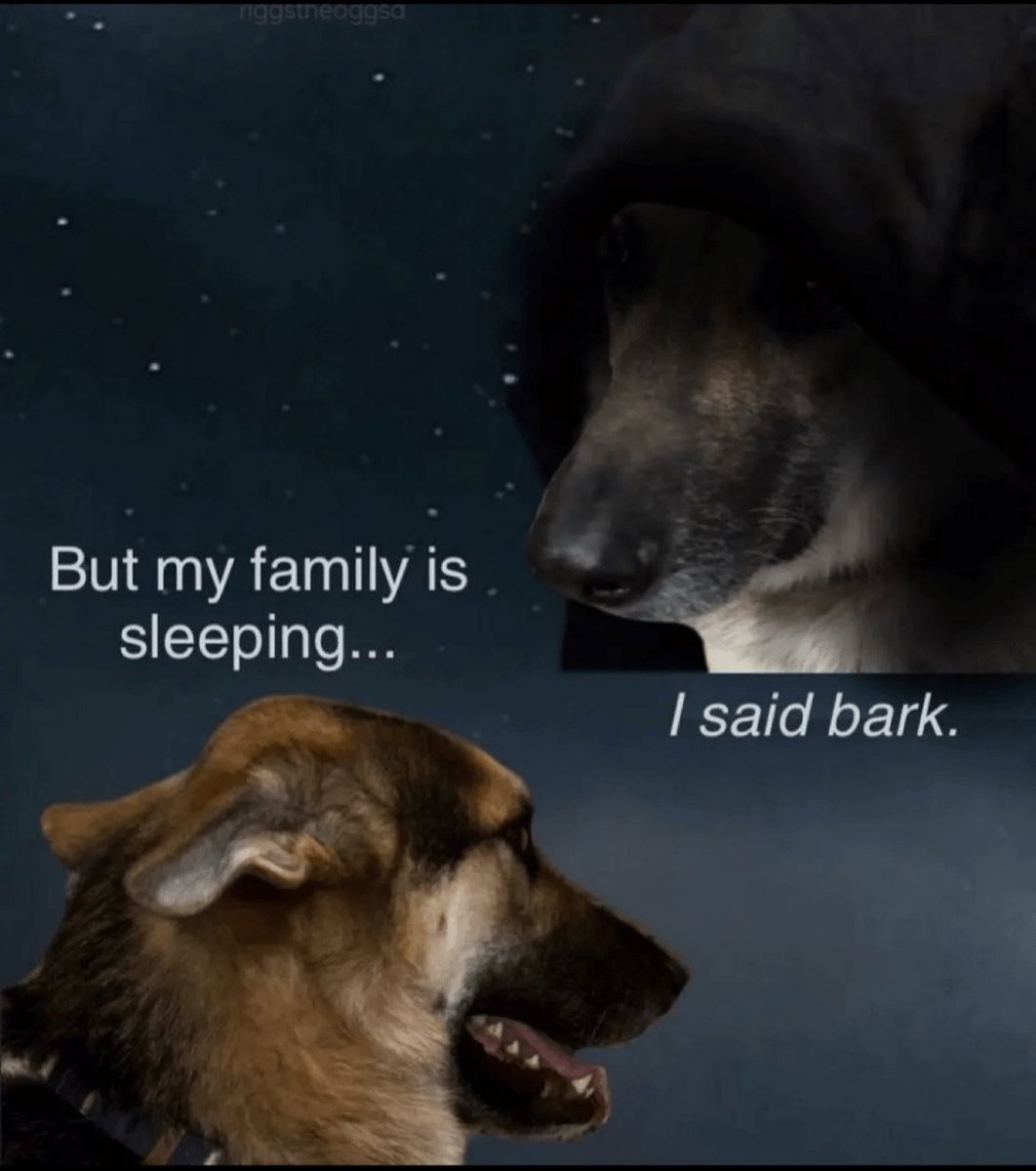 CryptBrainrot's tweet photo. https://t.co/RHVAoCr2Lp