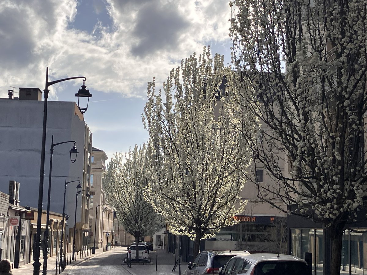 Kick Sama tweet media