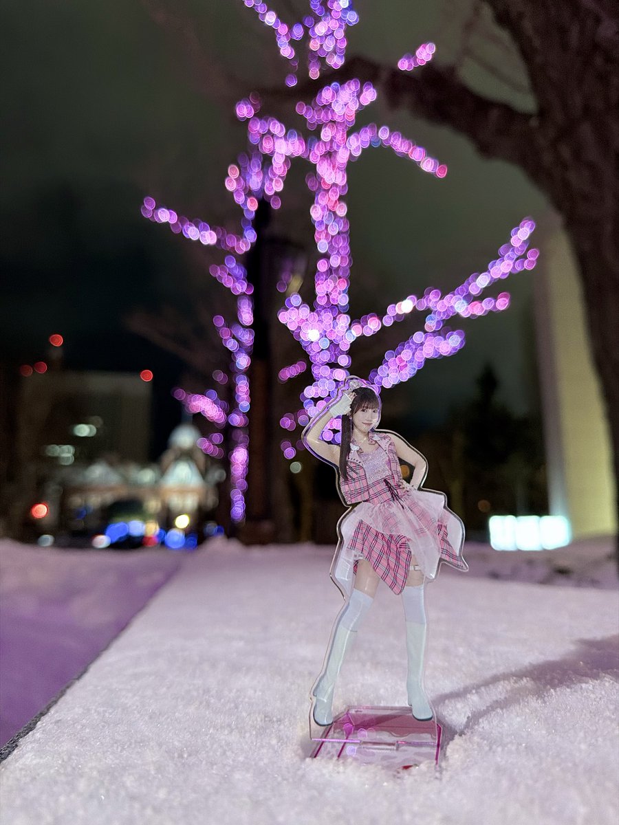 タケフジまる🟢 tweet media