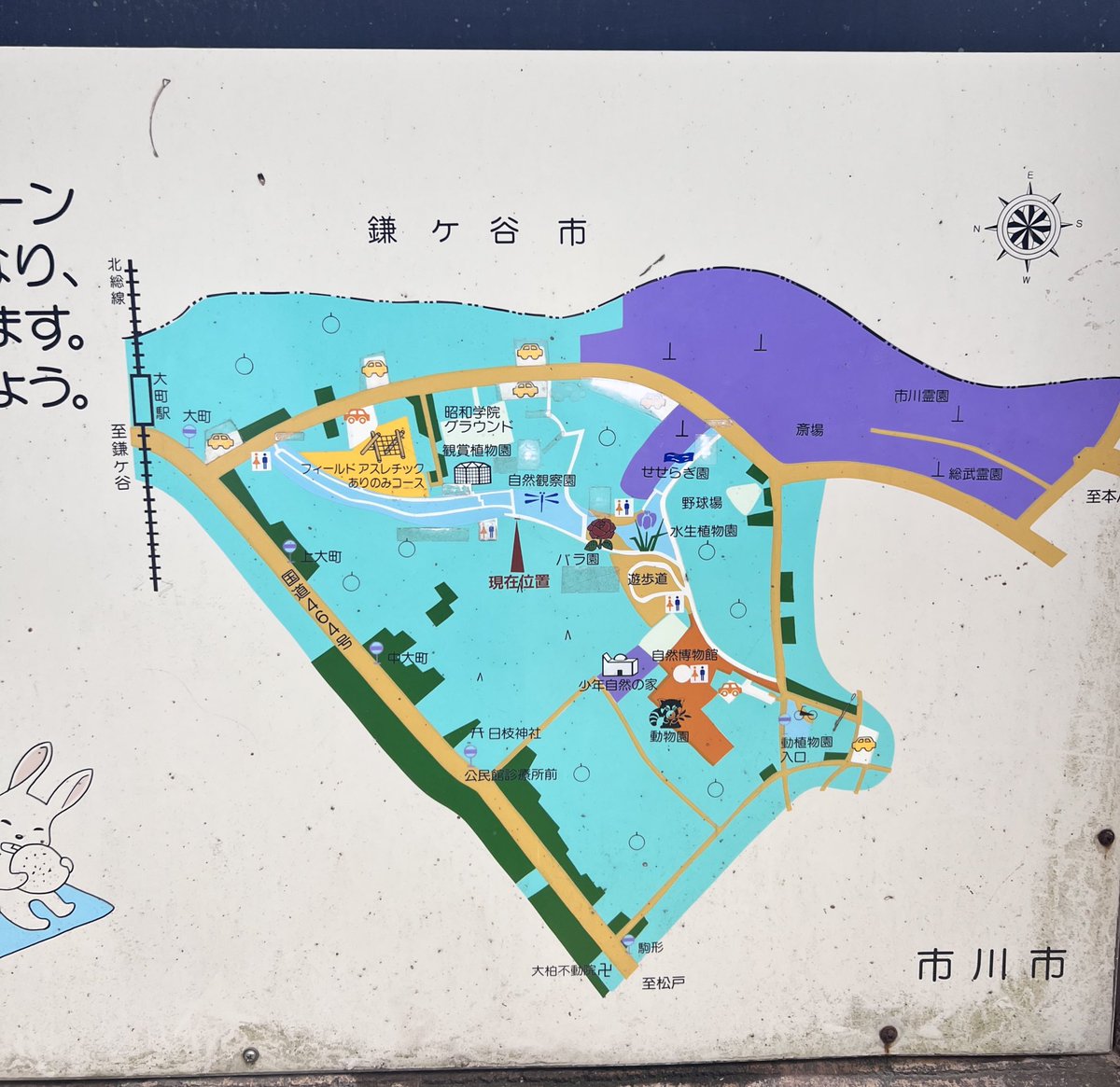 ねんね。 tweet media