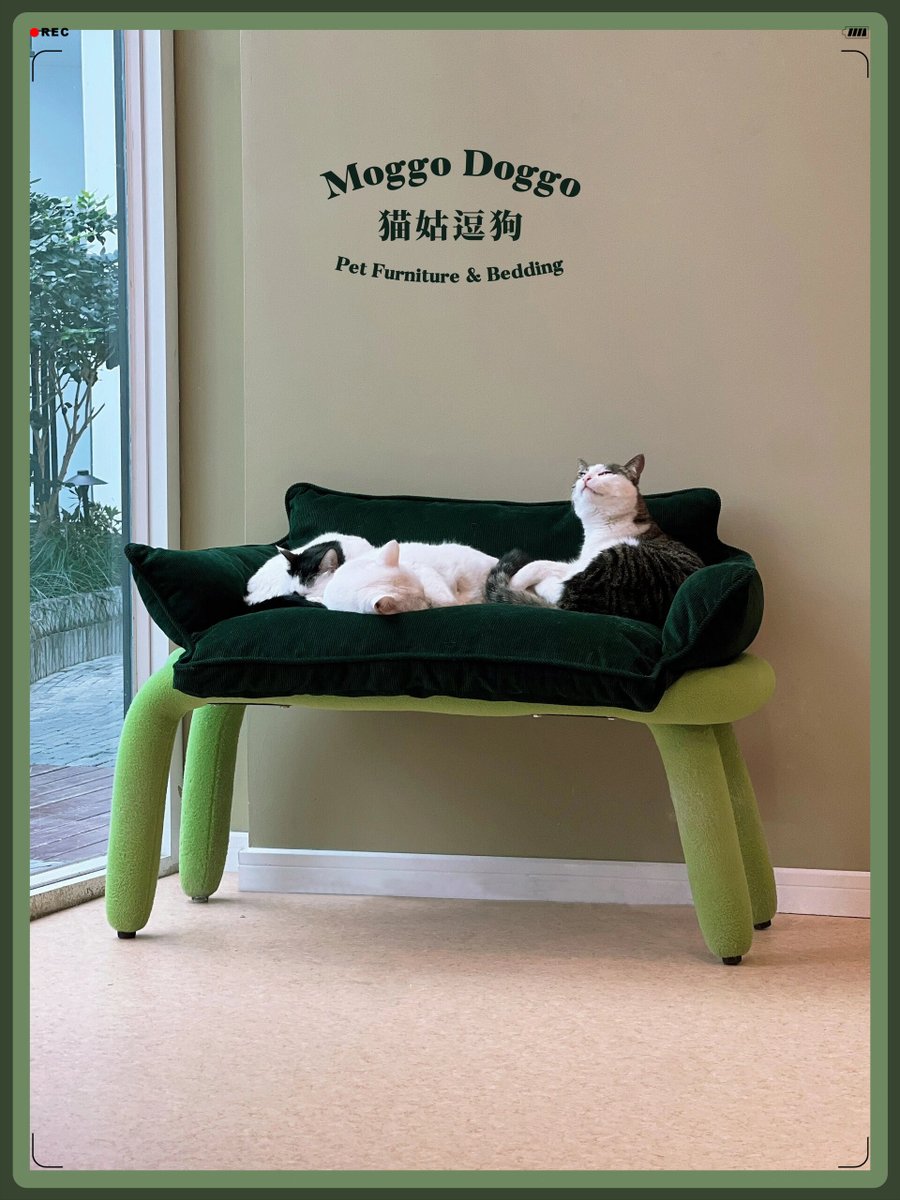 مساعد-عبدlلمزيز Iلعقبل tweet media