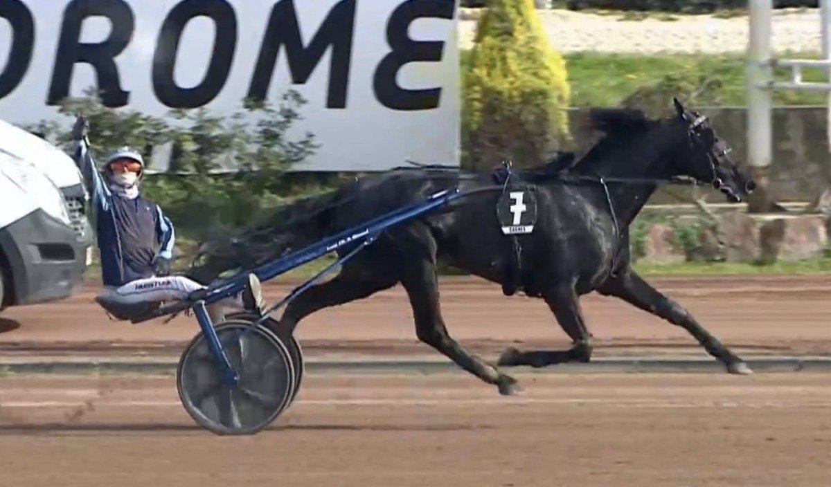 Lucas Benoit tweet media