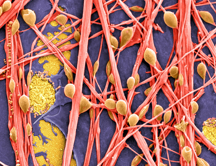 Science Signaling tweet media