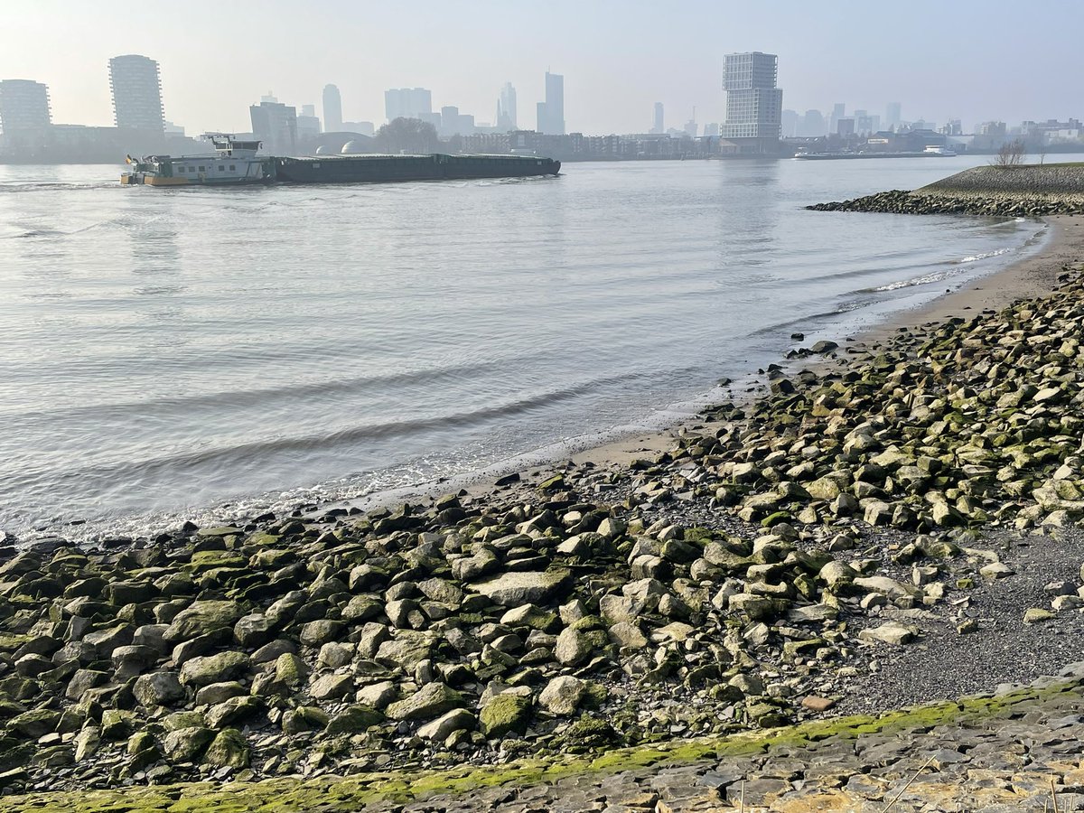 Marjolijn vd Assem tweet media