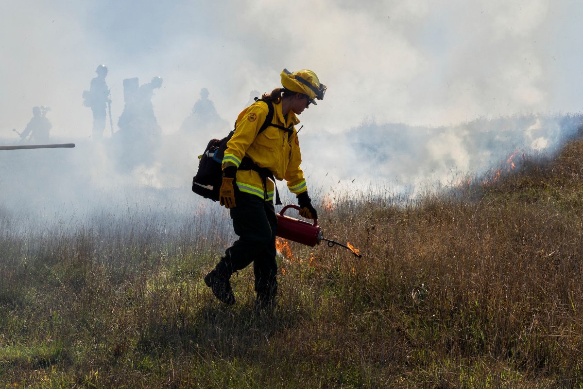 CA State Parks tweet media