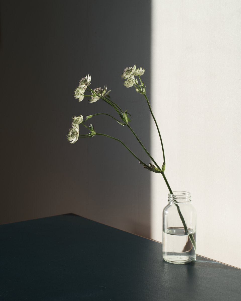namgriffel's tweet photo. #stilllifephotography
#gfx100s https://t.co/YoiNNFlMwE