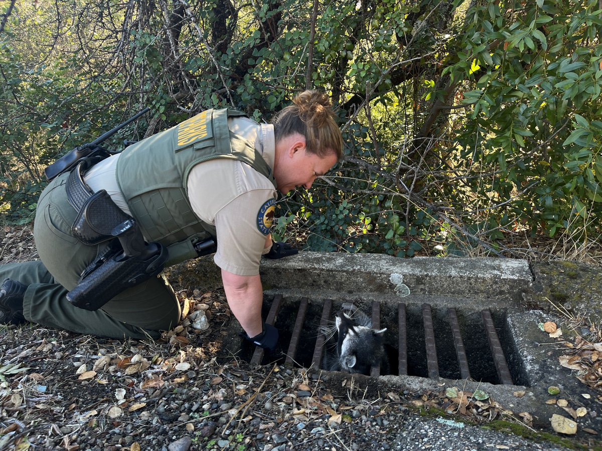 CA State Parks tweet media