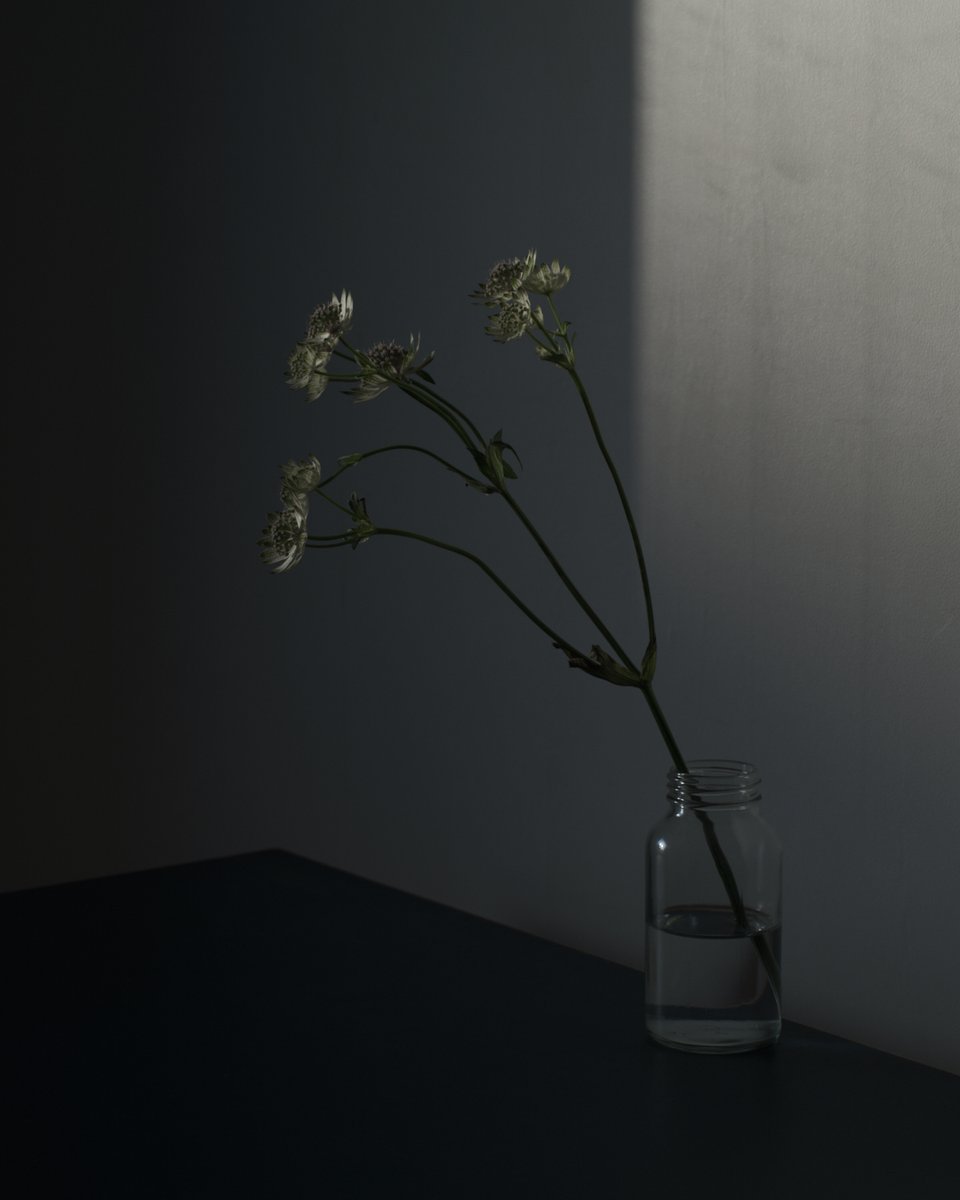 namgriffel's tweet photo. #stilllifephotography
#gfx100s https://t.co/YoiNNFlMwE