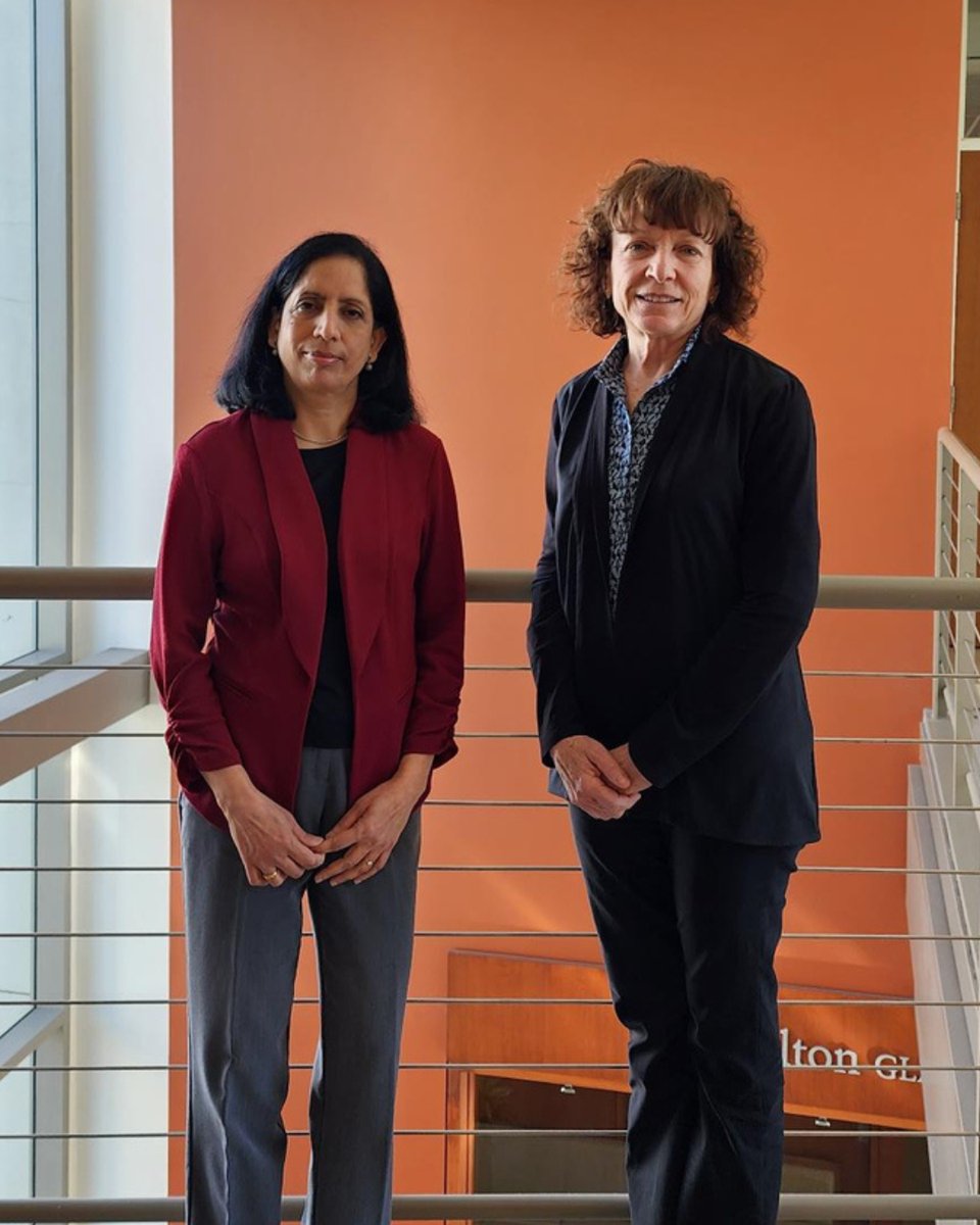 Shiley Eye Institute tweet media