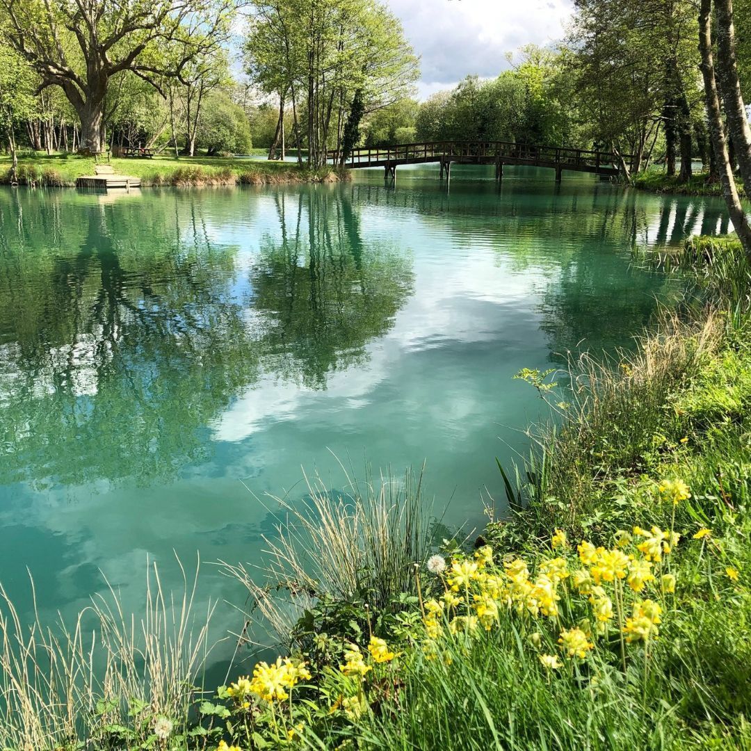 british_trout's tweet image. 🌸 Spring's on it's way &amp;amp; rivers are waking up! 🎣

Time to cast a line and enjoy some peaceful trout fishing 🐟 Find your nearest spot and get back to nature:
👉 britishtrout.co.uk/fisheries/

#FishingLife #BritishTrout #SpringFishing #TroutFishing