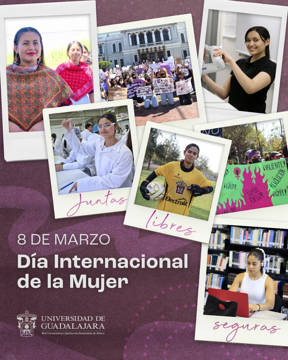 Universidad de Guadalajara tweet media