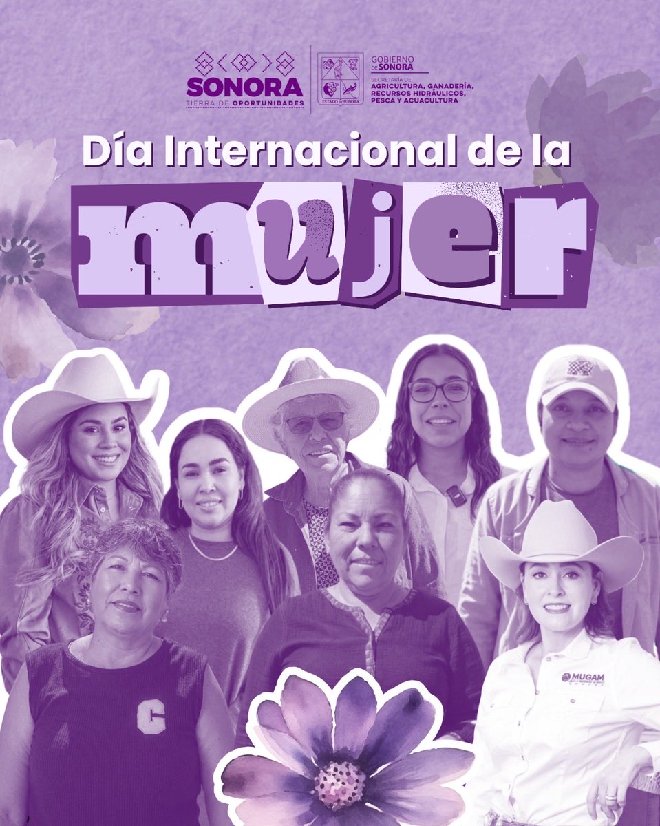 SAGARHPA Sonora tweet media