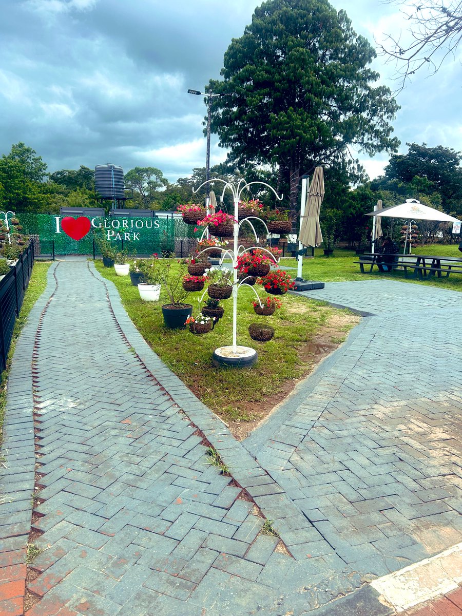 Ruwa Watch tweet media