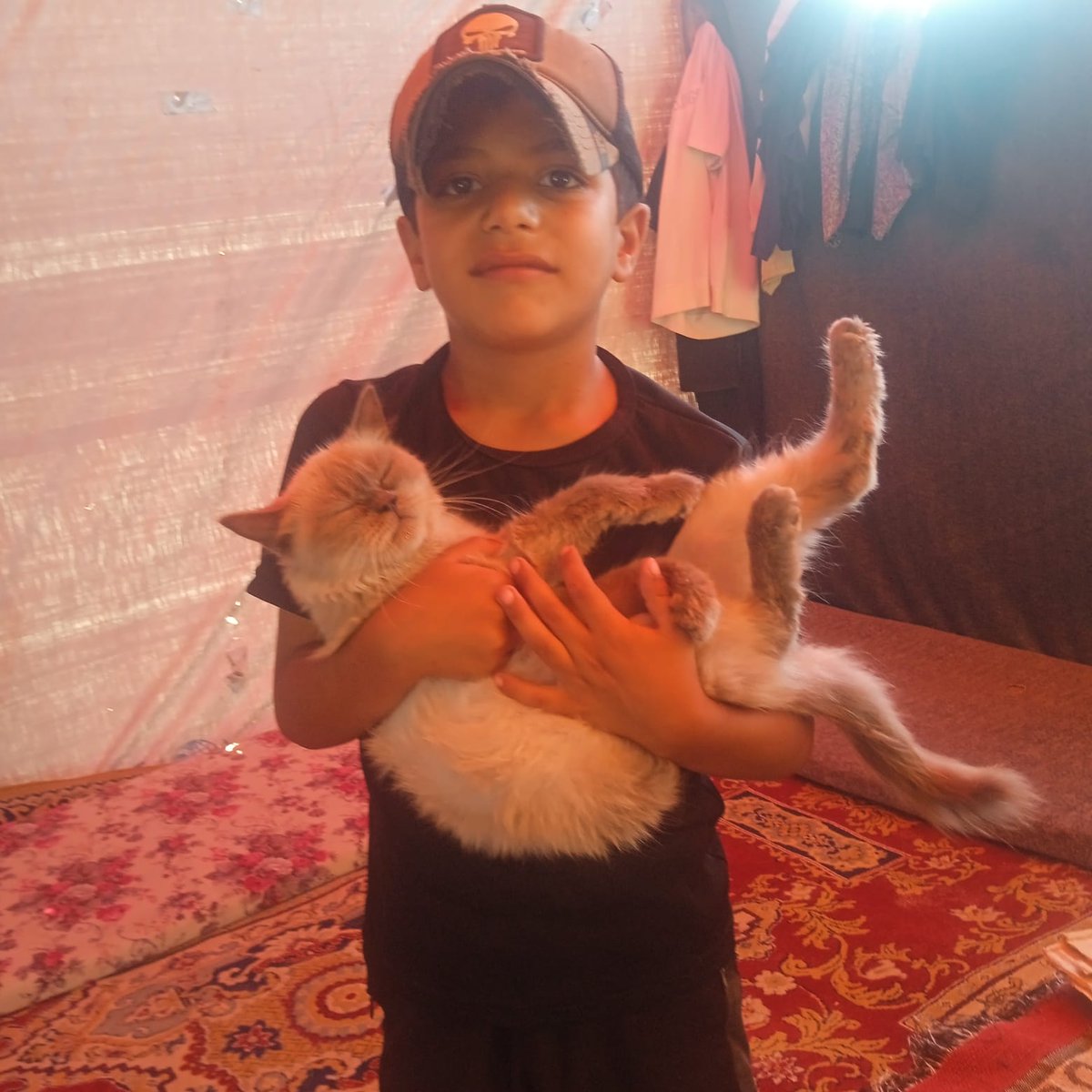 hmd_mhmd9832's tweet image. He is not Punch, but my son . I wish the world cared about my son as much or more than they care about this little monkey. Does anyone see us?
chuffed.org/project/166790…