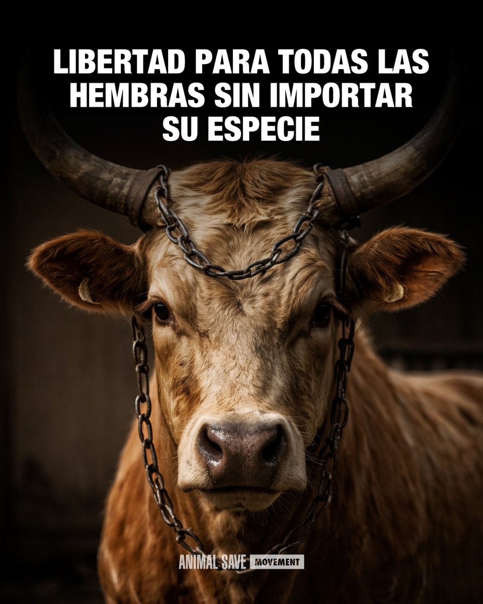 8M; 8 de Marzo: Día Internacional de la Mujer Trabajadora 

#VeganismoEsAmorYJusticia 

#Veganismo Es #Amor Y #Justicia 

#VeganosEnArgentina
