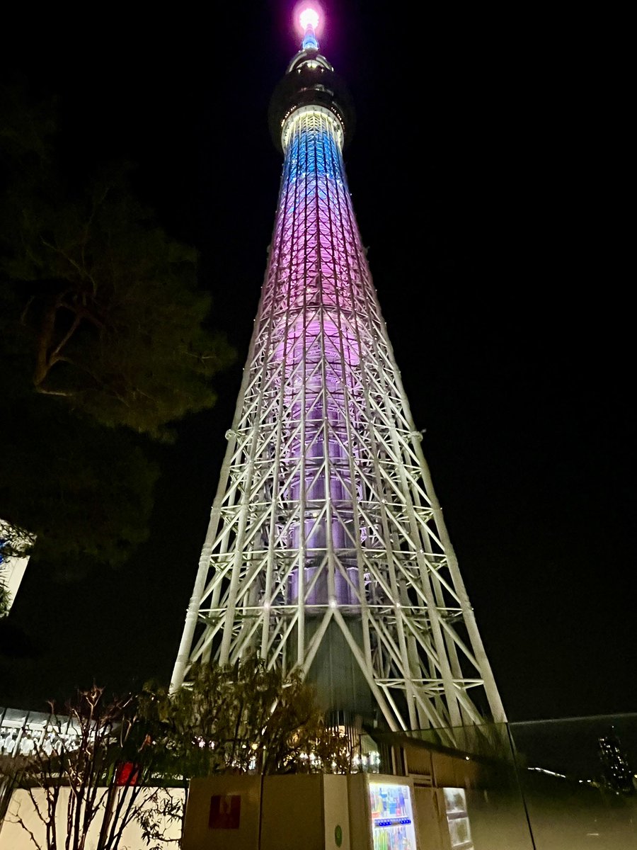 ごみちゃん tweet media