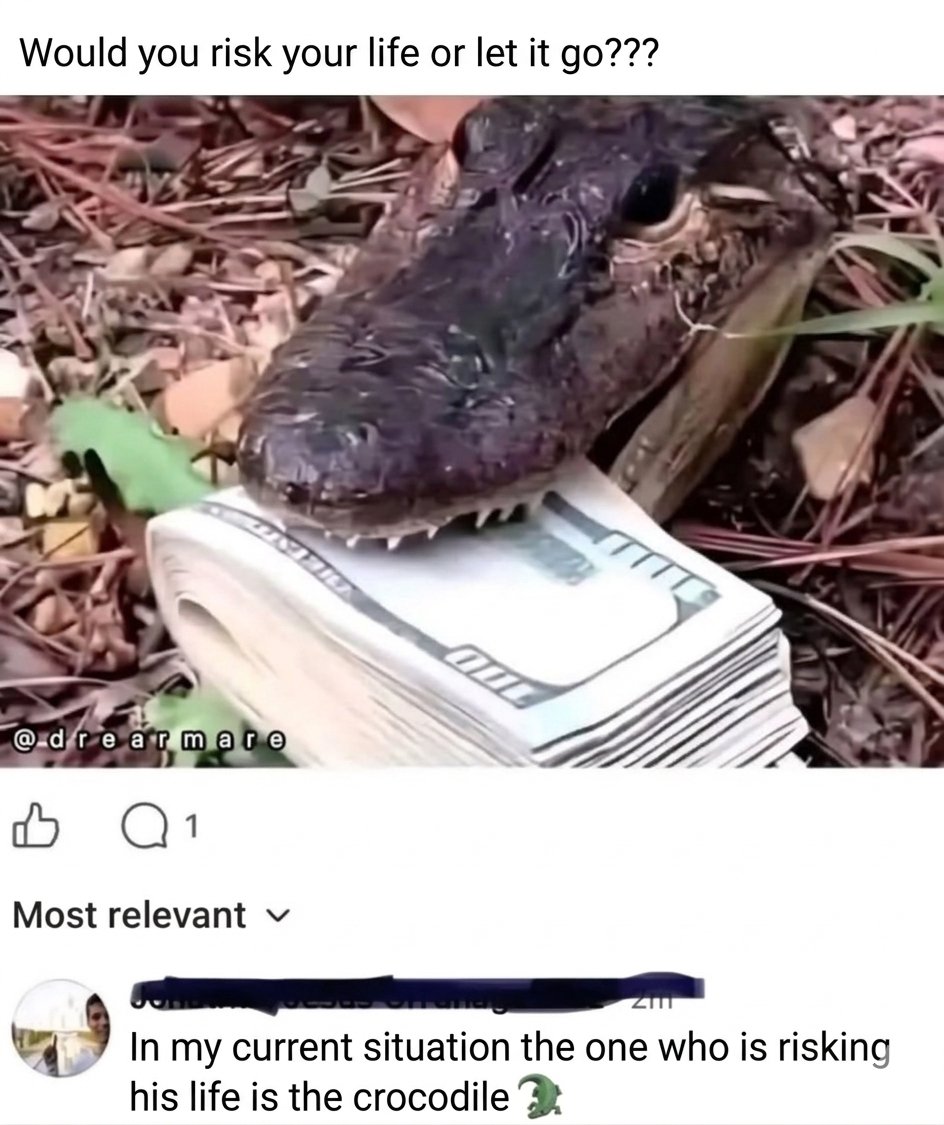 RetrAshado tweet media