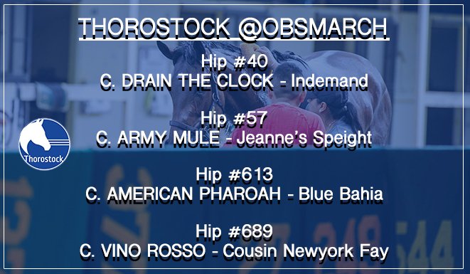 Thorostock LLC tweet media