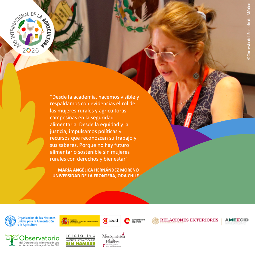 Observatorio Derecho Alimentación ALC tweet media