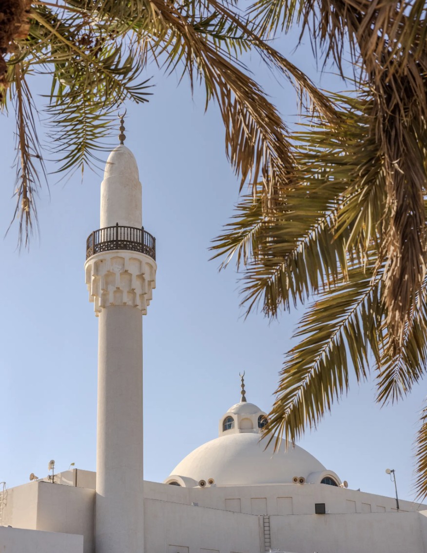 نائف الغامدي | Naif Alghamdi tweet media