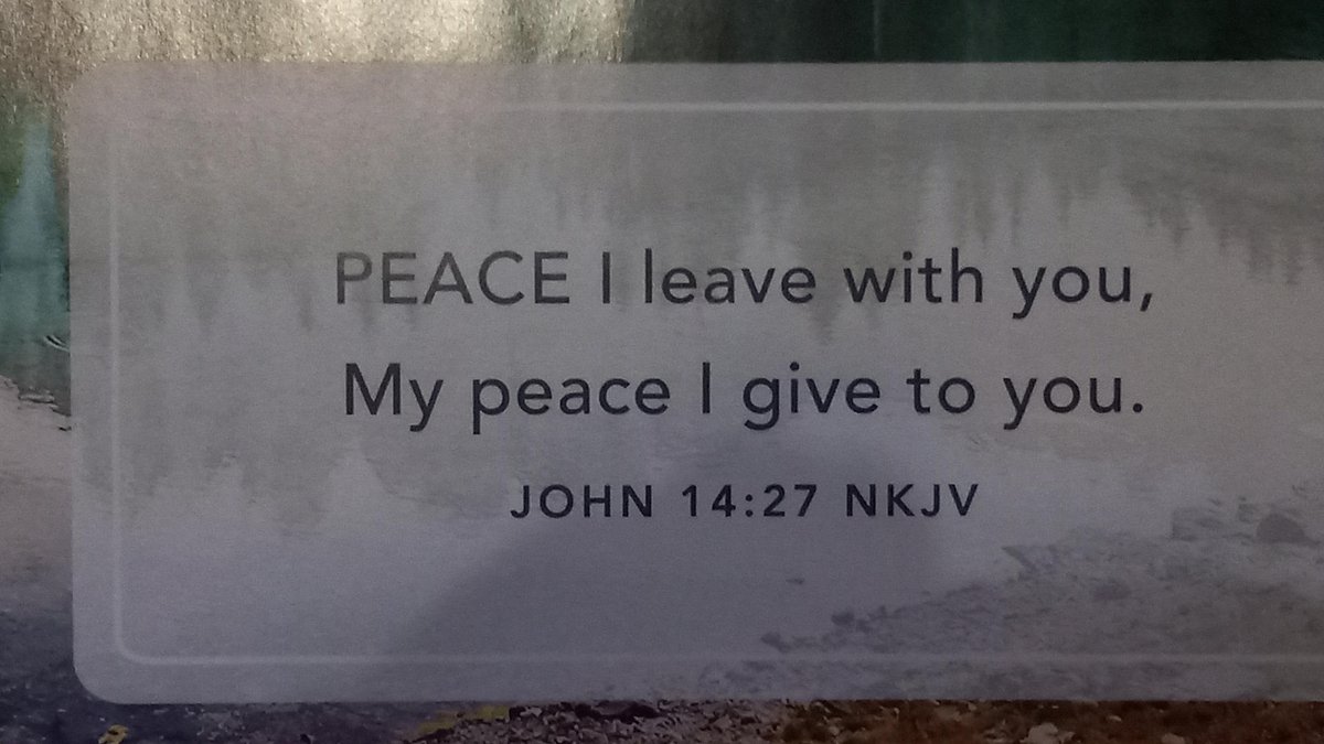 Michael Ryan Moss tweet media