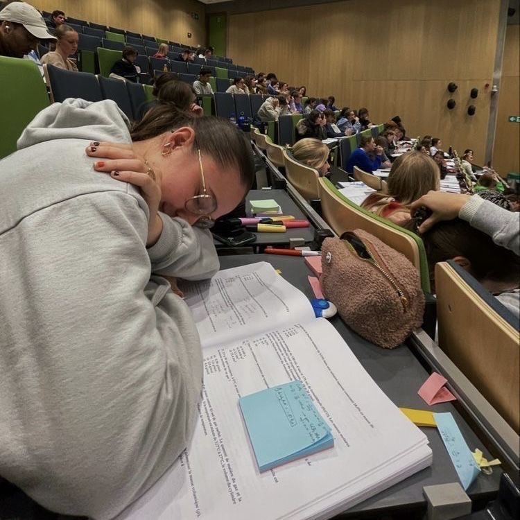 •☆• tweet media