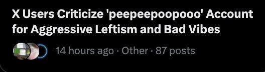 peepeepoopoo tweet media