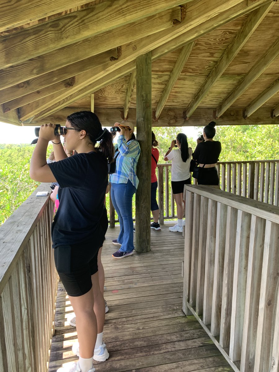 ECOEXPLORATORIO tweet media