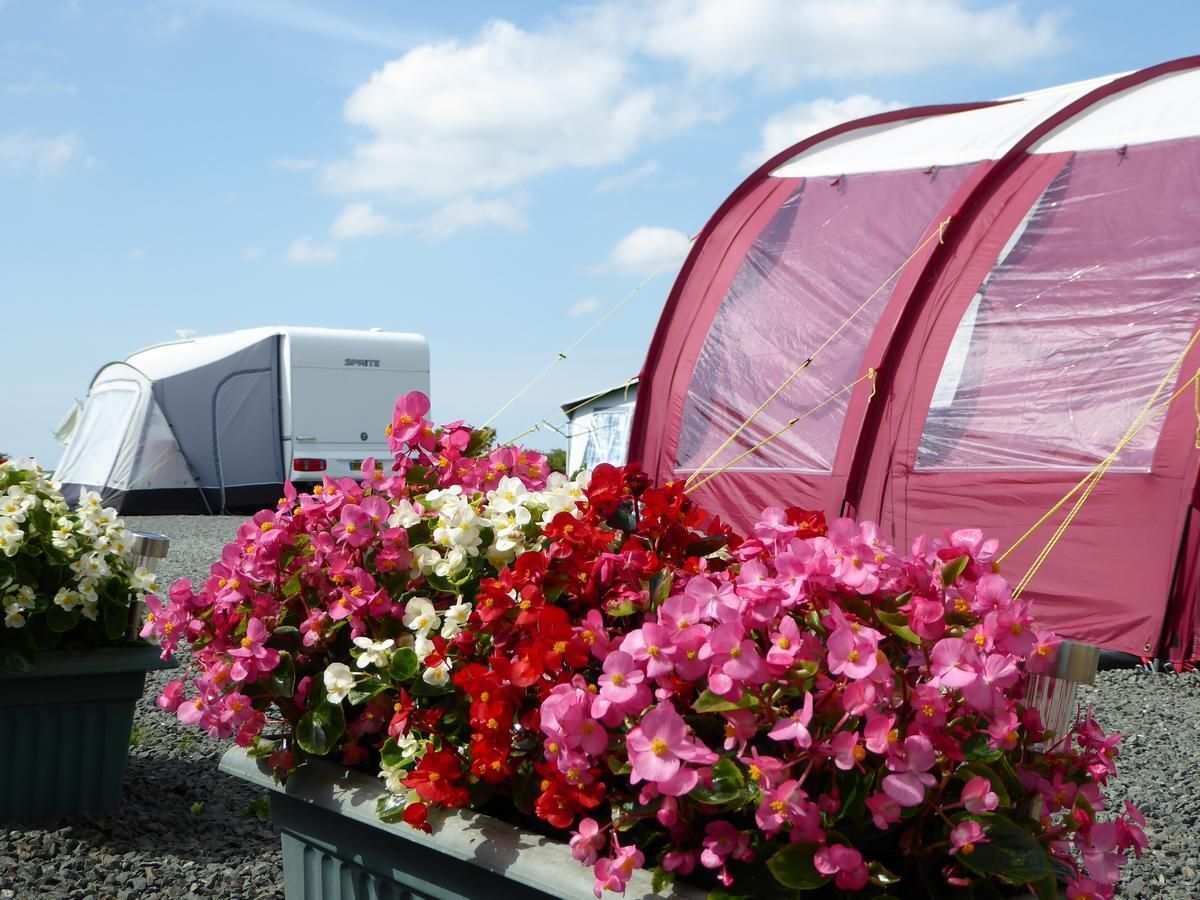 WeAcceptPets's tweet image. 🌿 Headon Farm Caravan Site and Storage – Devon 🌿

A peaceful countryside setting makes it an ideal base for exploring beautiful Devon. Plan a relaxing break and enjoy the great outdoors at Headon Farm.

Accepts 🐶 🐈 
weacceptpets.co.uk/Devon/6136

#HeadonFarm #DevonCamping #Touring