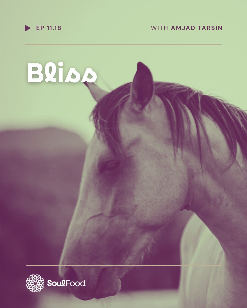 SoulFoodFM's tweet photo. Episode 11.18 - Bliss

“And if you looked around, you would see ˹indescribable˺ bliss and a vast kingdom.” [Quran 76:20]

In this episode, we will cover:
• The horses of Paradise
• Entering Paradise
• Allah's contentment https://t.co/dcOVXBhOxn