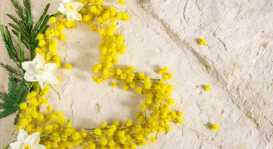 • 𝔸𝕝𝕖_𝕤𝕒𝕟𝕕𝕣𝕒9967•𓂀 tweet media