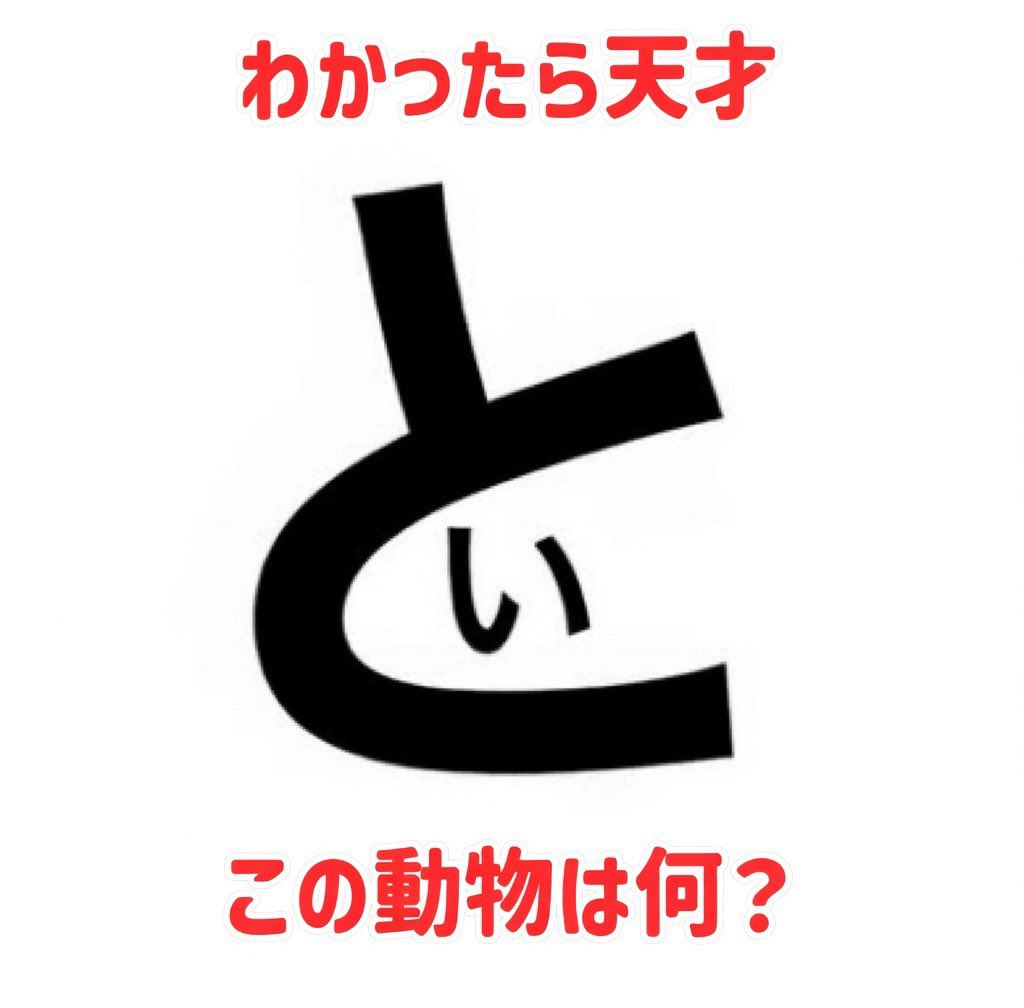 どく姉 tweet media