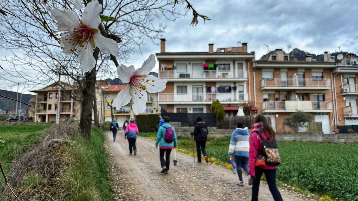 Vull la nit! tweet media