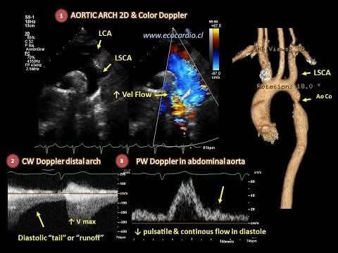 Ahmed Ata tweet media