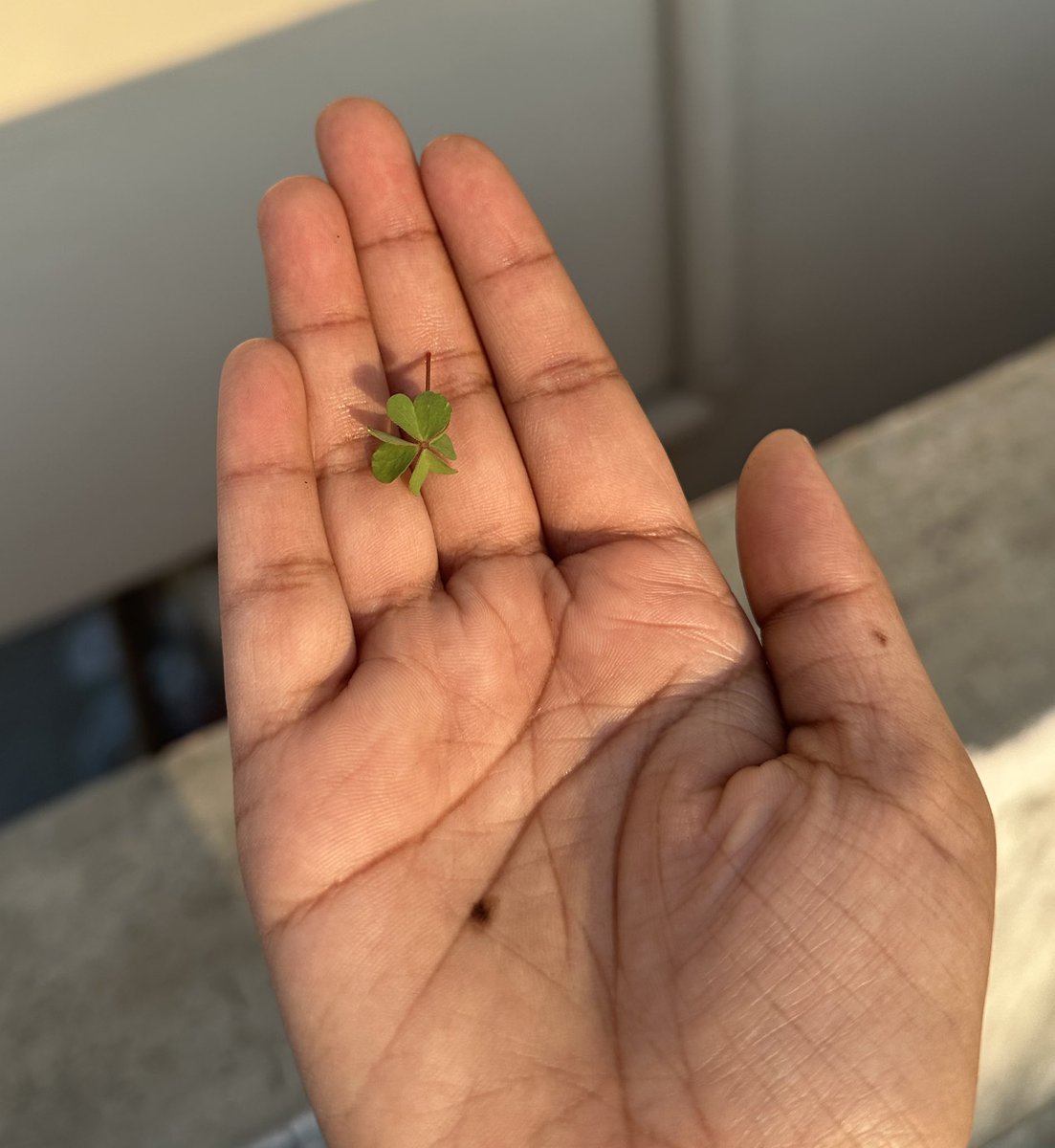 𝓐𝓑 👑 tweet media