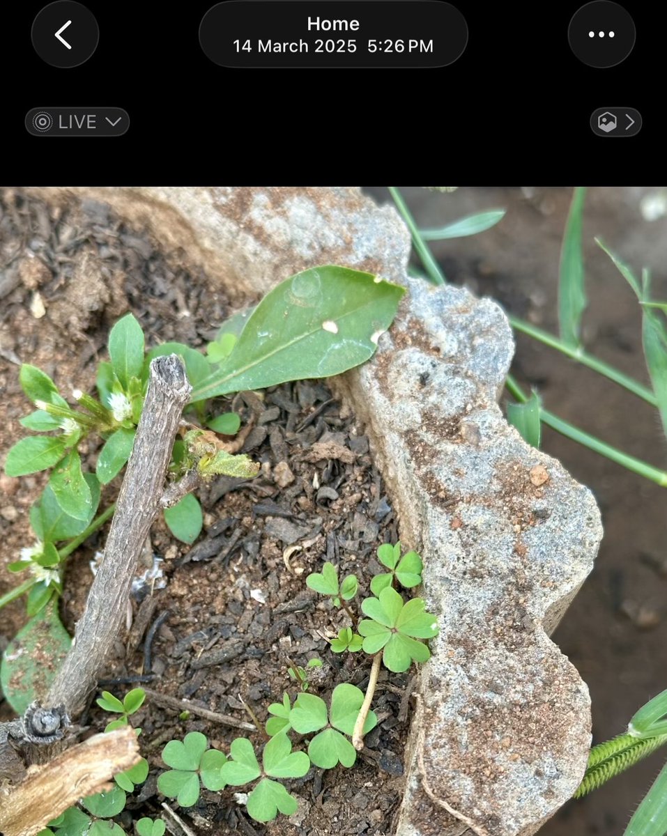 𝓐𝓑 👑 tweet media