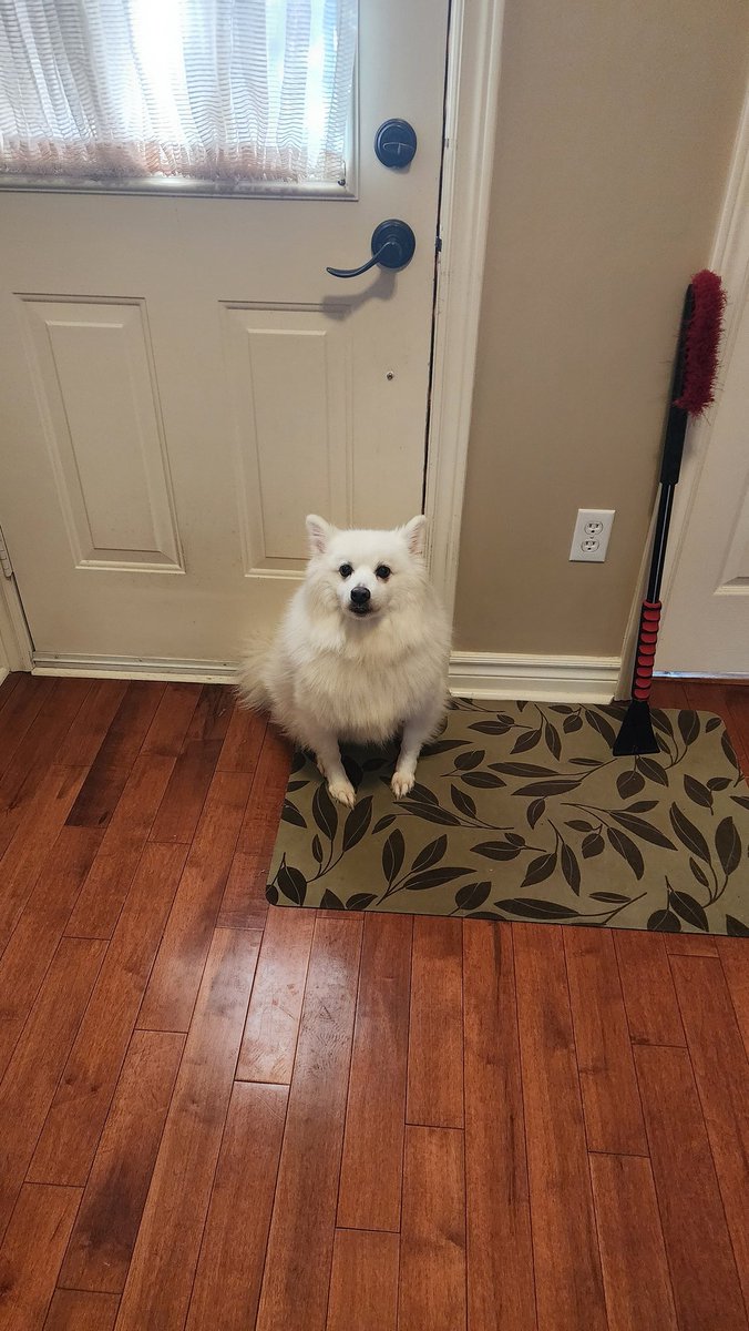 risu komori🐿️🌟小森リス tweet media