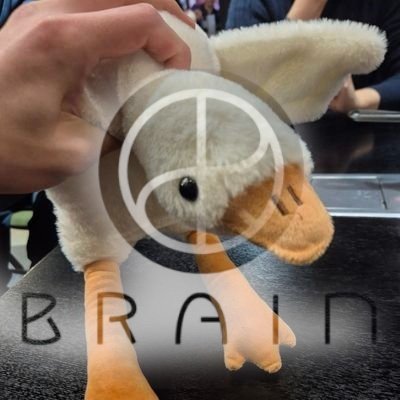 김자민 tweet media