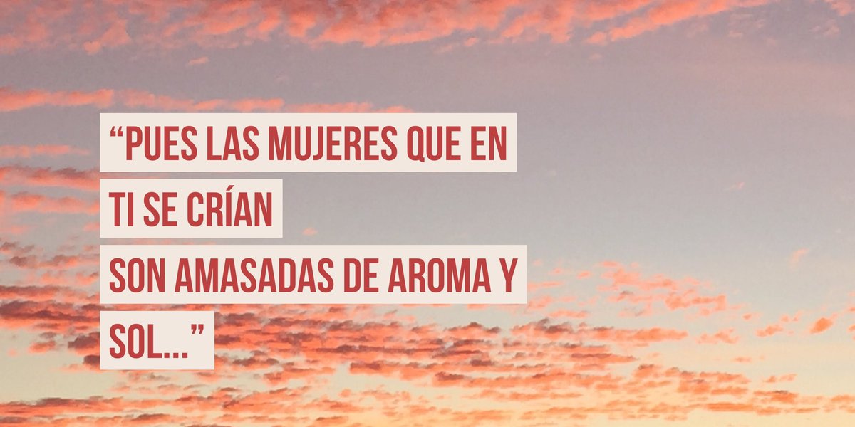 Noticias Ambato (Ambato Urgente) tweet media