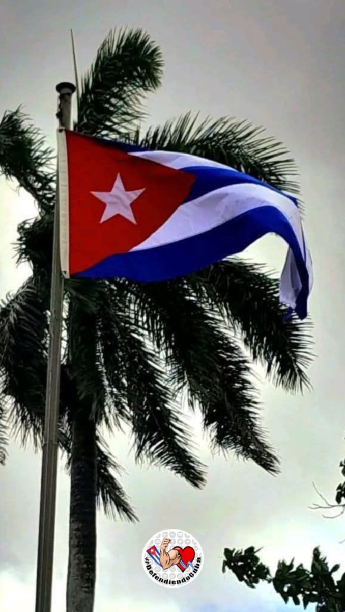 Policarpocastro tweet media